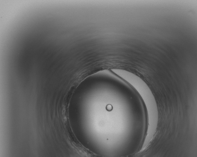 X0000060260187200511041359