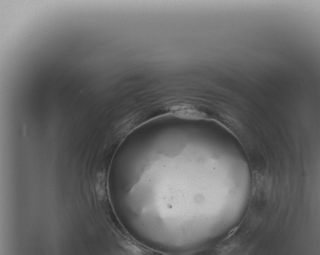 X0000060260189200511041359