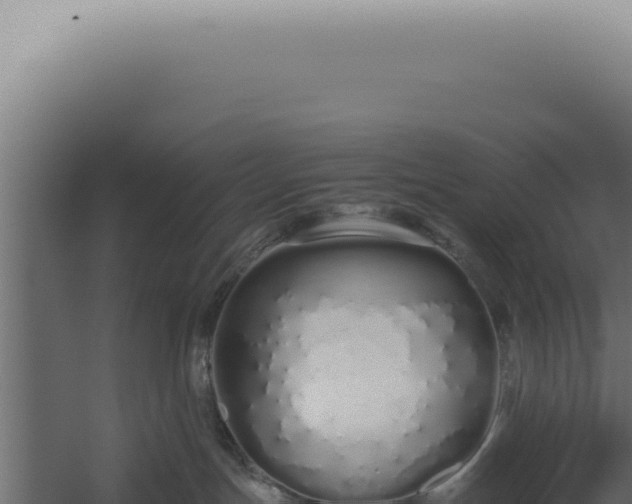 X0000060260191200511041359