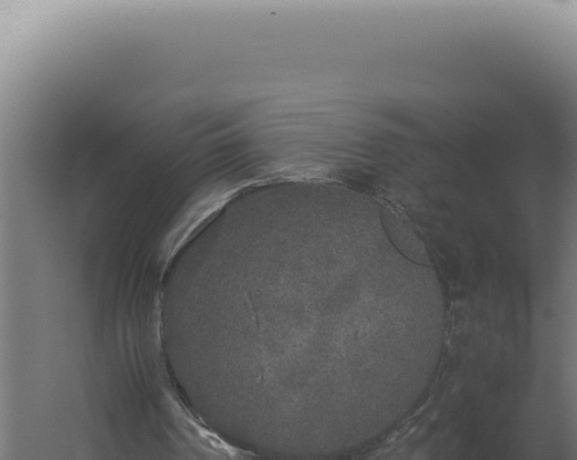 X0000060260194200511041358