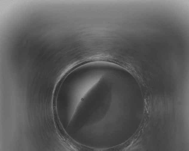 X0000060260196200511041358