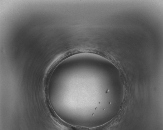 X0000060260197200511041358