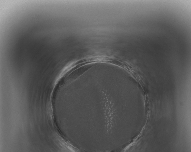 X0000060260198200511041358