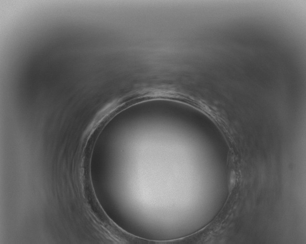 X0000060260199200511041358