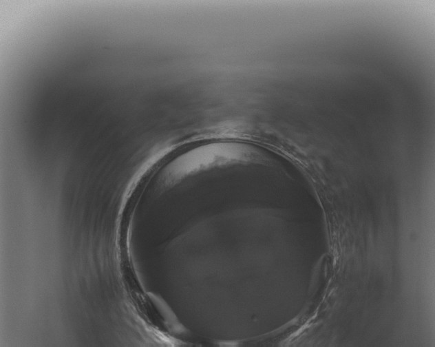 X0000060260200200511041358