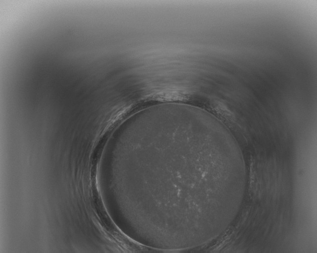 X0000060260202200511041358