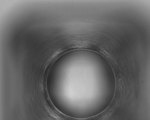 X0000060260203200511041358