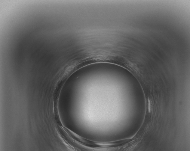 X0000060260205200511041358