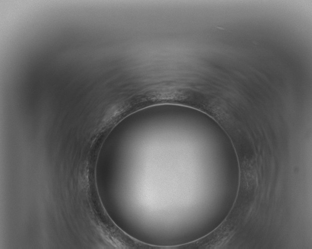 X0000060260207200511041358