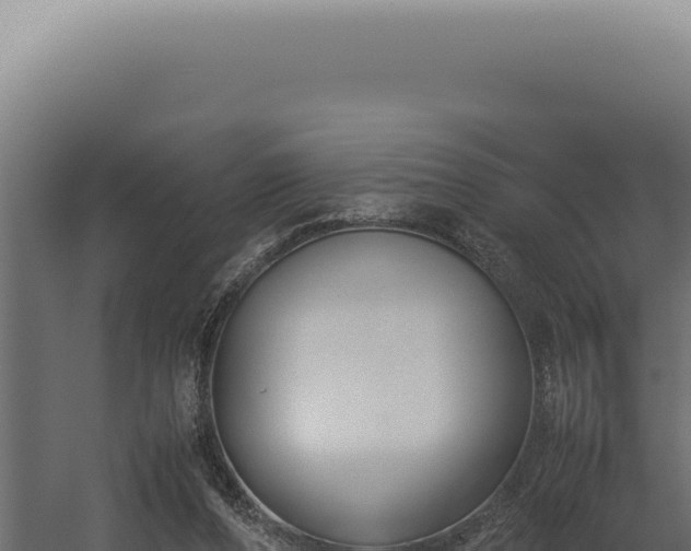 X0000060260208200511041358