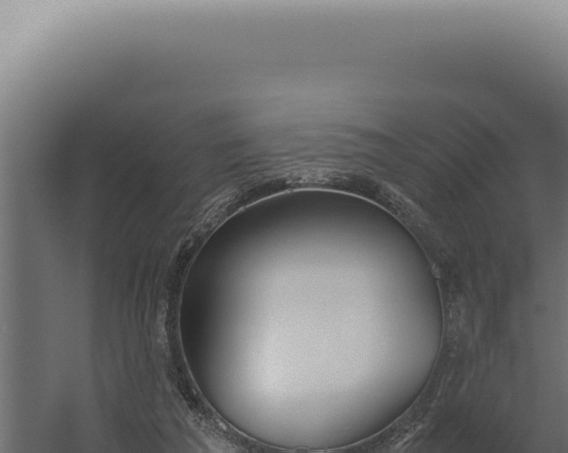 X0000060260209200511041358