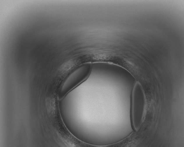 X0000060260211200511041358