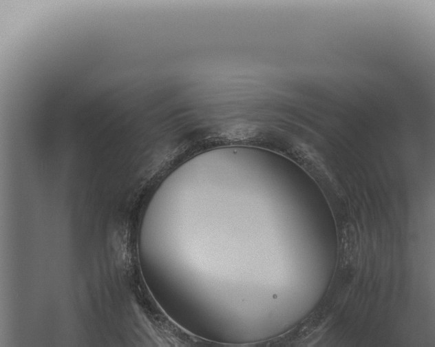 X0000060260212200511041358