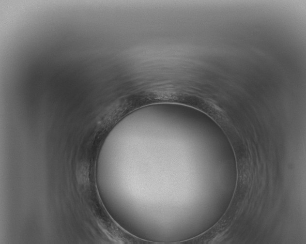 X0000060260213200511041358