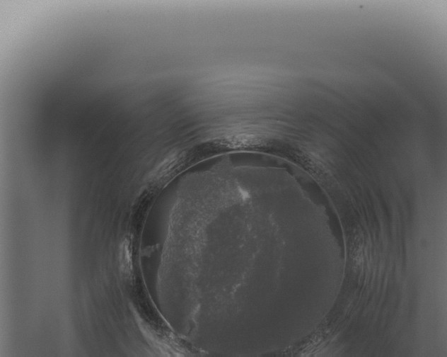 X0000060260214200511041358