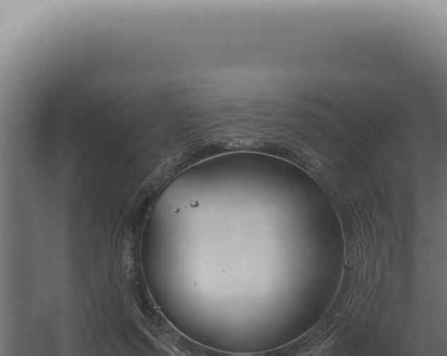 X0000060260215200511041358