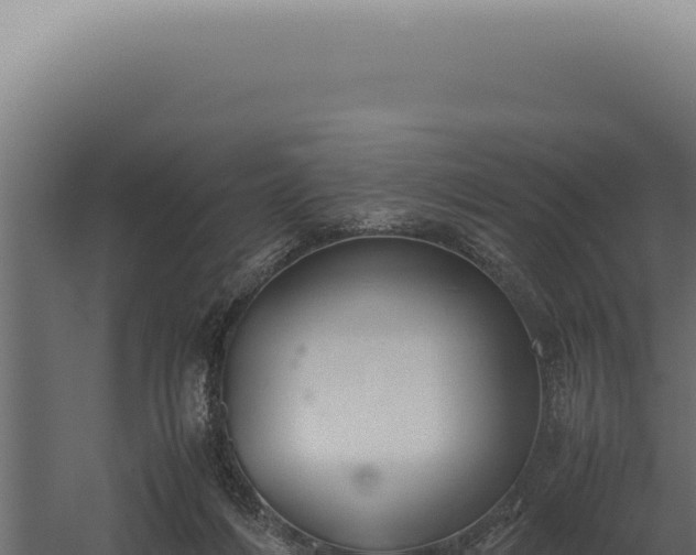 X0000060260216200511041358