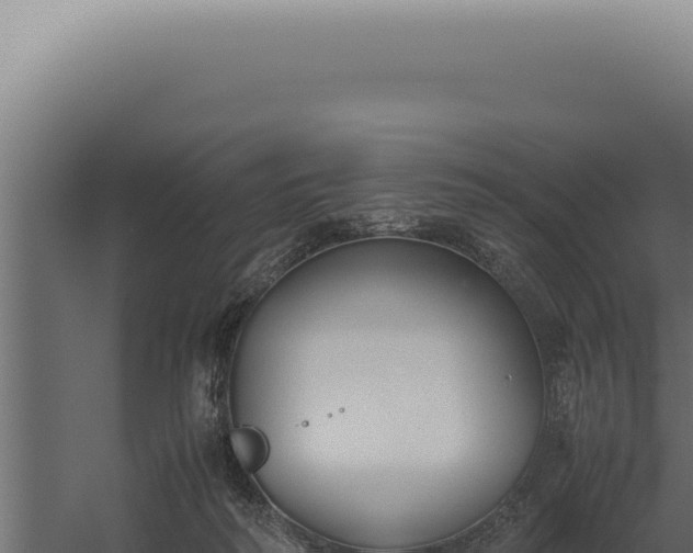 X0000060260218200511041358