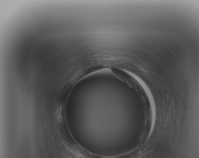 X0000060260219200511041358