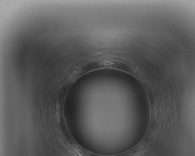 X0000060260223200511041358