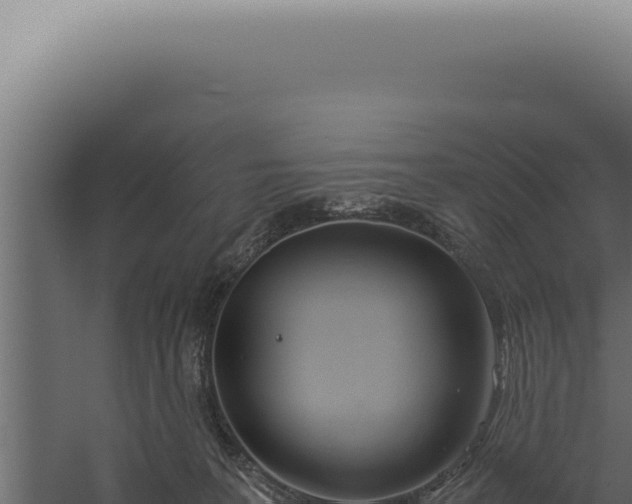 X0000060260227200511041358