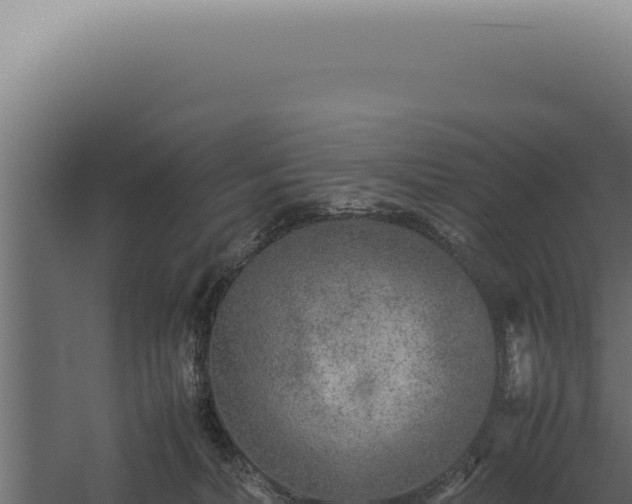 X0000060260228200511041358