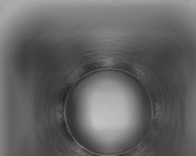 X0000060260230200511041358