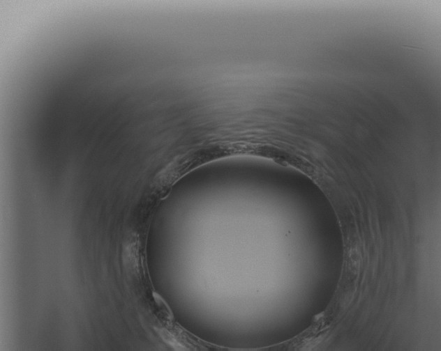 X0000060260231200511041357