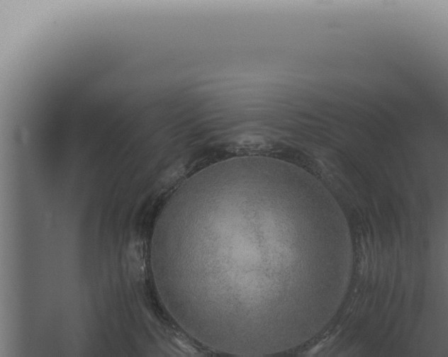 X0000060260232200511041357