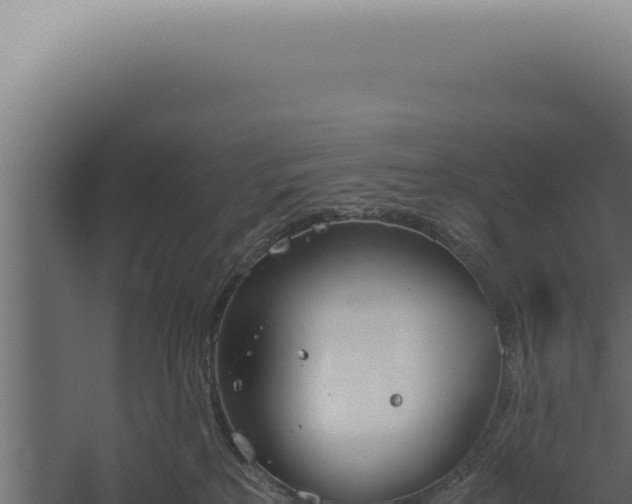 X0000060260233200511041357