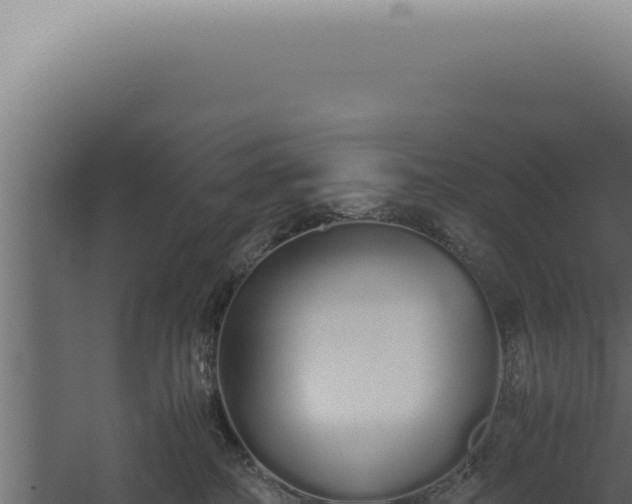 X0000060260234200511041357