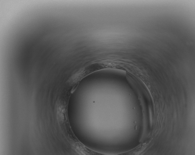 X0000060260235200511041357