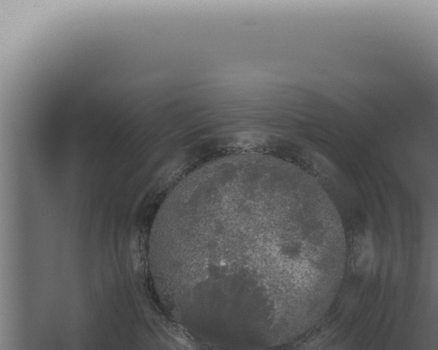 X0000060260236200511041357