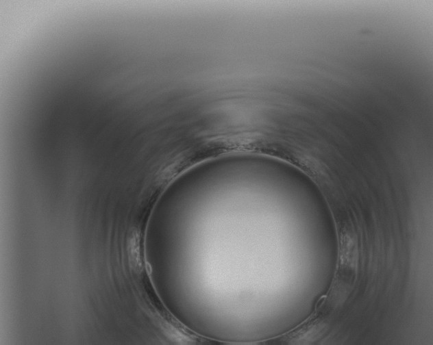 X0000060260238200511041357