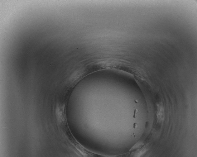 X0000060260239200511041357