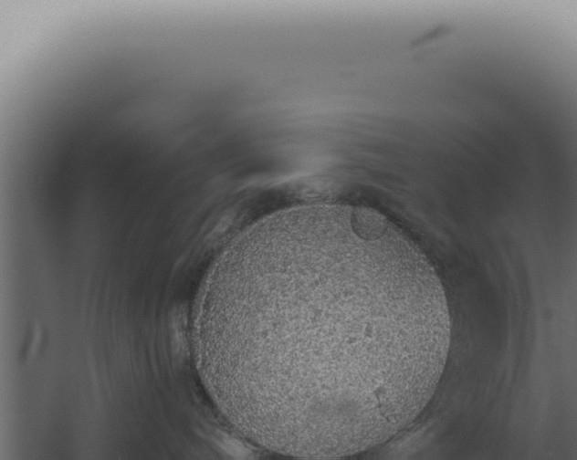 X0000060260240200511041357