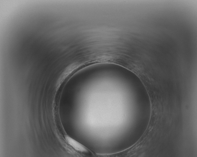 X0000060260242200511041357