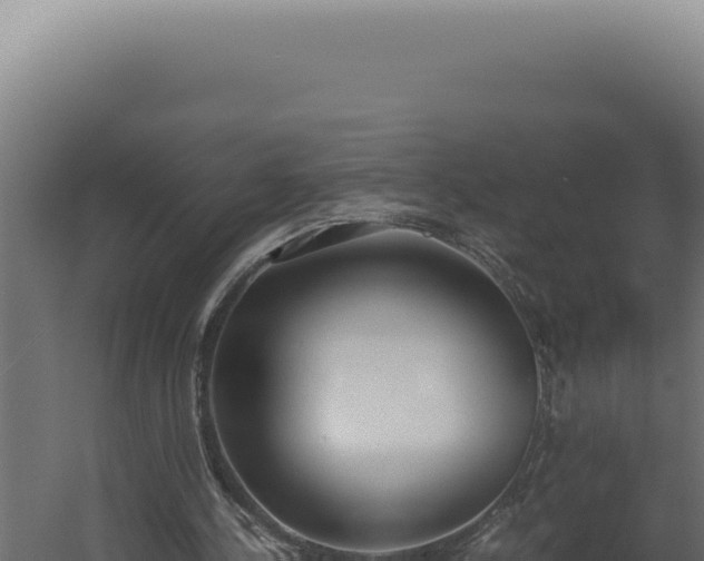 X0000060260244200511041357