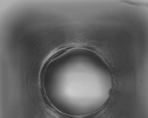 X0000060260246200511041357