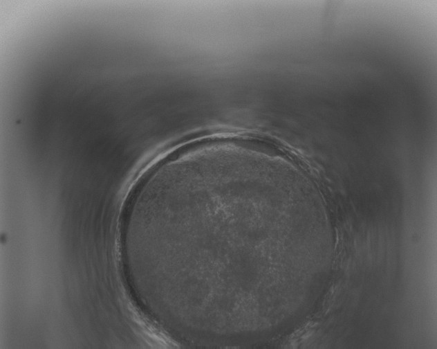 X0000060260247200511041357