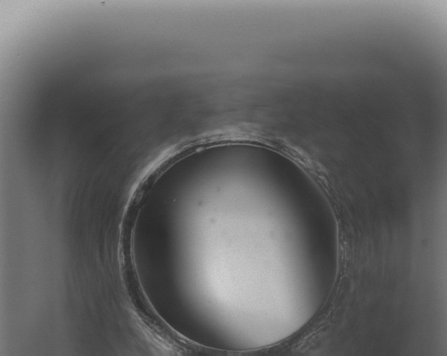 X0000060260248200511041357