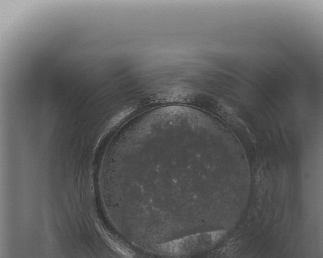 X0000060260250200511041357