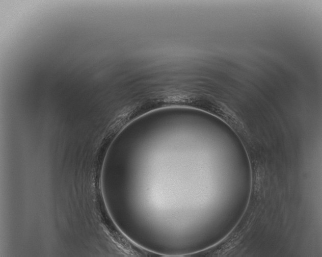 X0000060260257200511041357