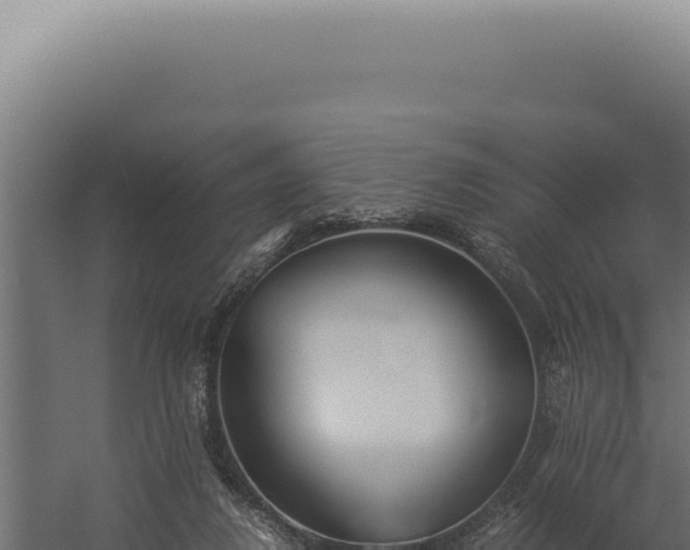 X0000060260260200511041357