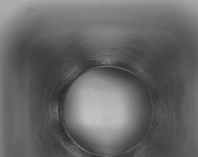 X0000060260262200511041357