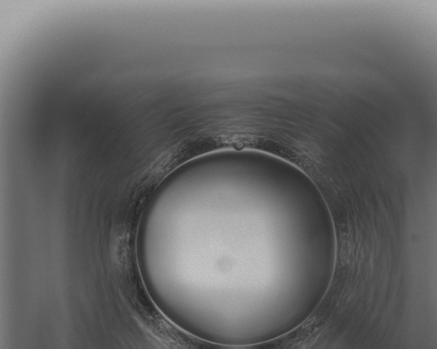 X0000060260263200511041357