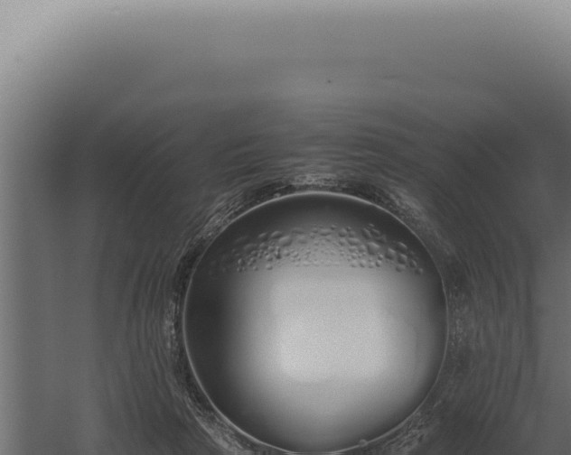 X0000060260265200511041357