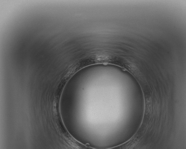 X0000060260269200511041357