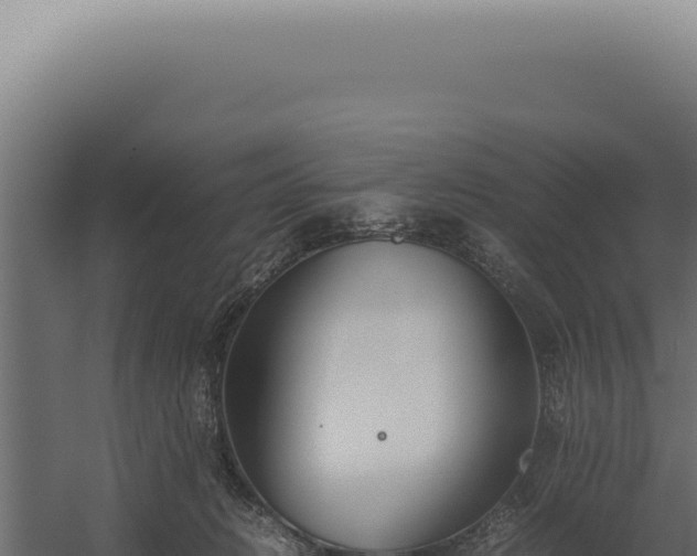 X0000060260270200511041357