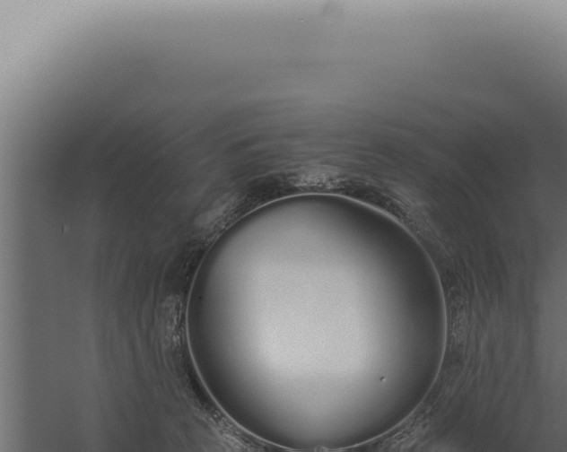 X0000060260273200511041357